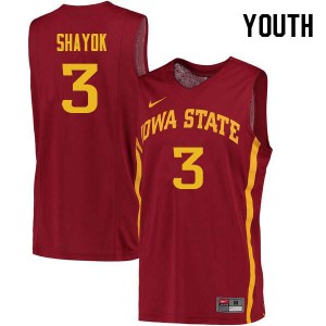 Youth Iowa State Cyclones #3 Marial Shayok Cardinal Embroidery Jerseys 764645-356